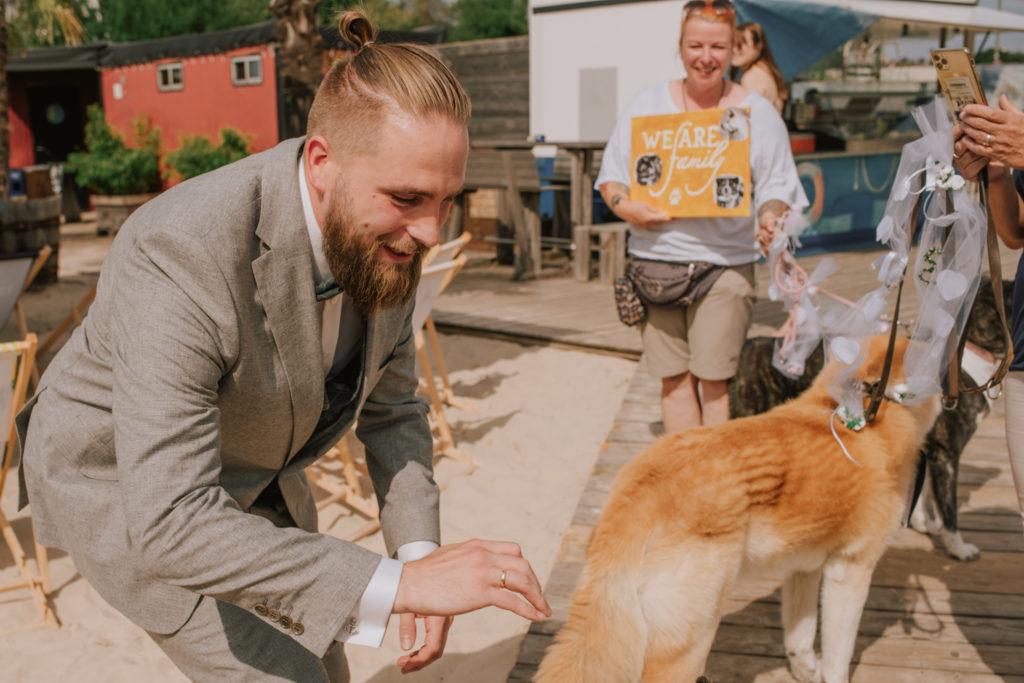 Überraschungsbesuch unserer Hunde auf der Hochzeit