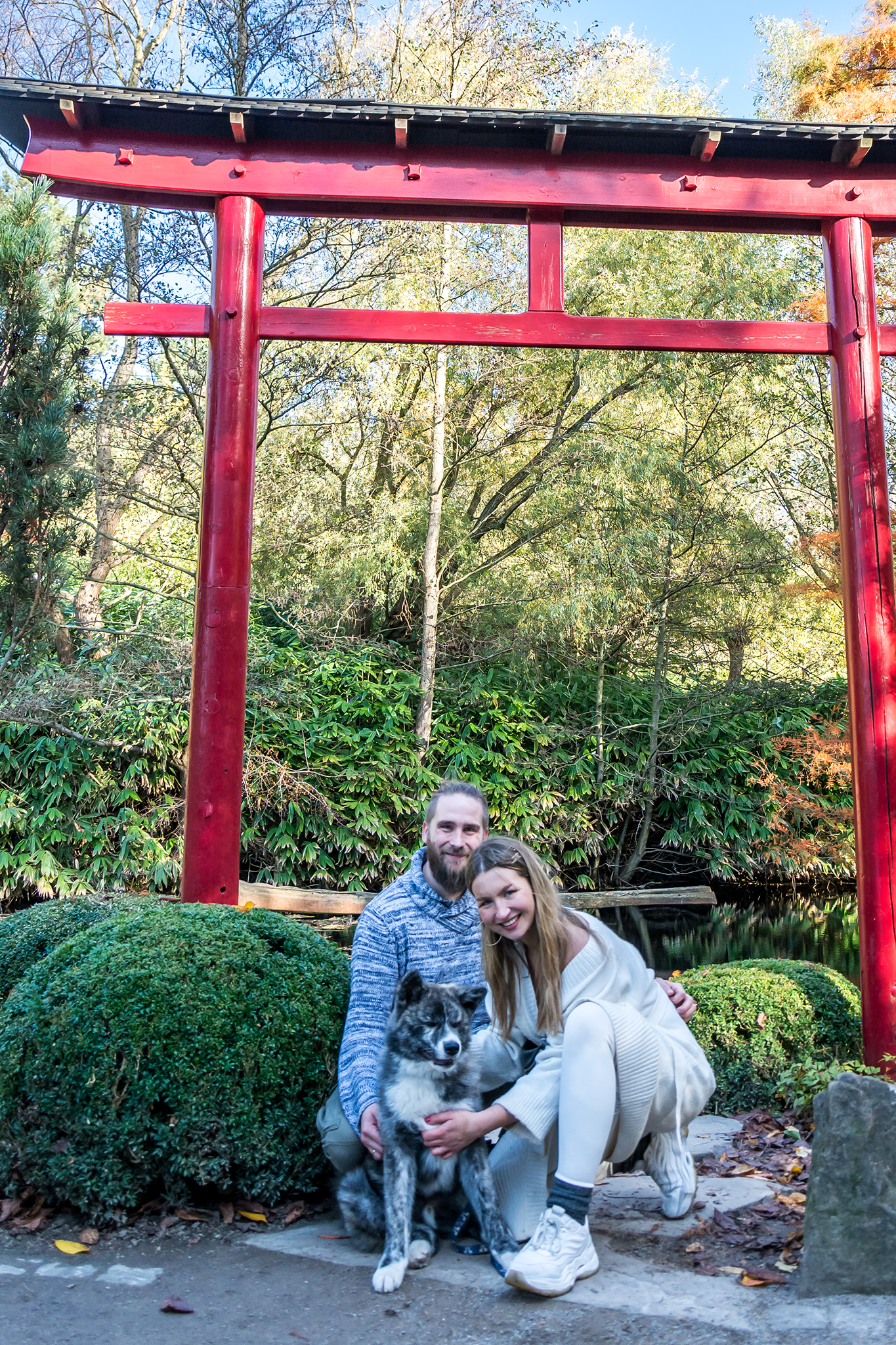 Brindle Akita Welpe mit Familie im japanischen Garten