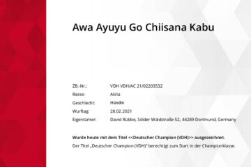 Championurkunde (Dt.Ch.VDH) Awa Ayuyu Go Chiisana Kabu