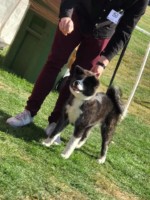 Hibis ersten Showerfahrungen