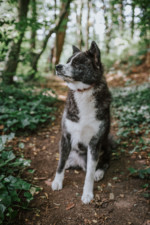 Robin Selhorst Shooting