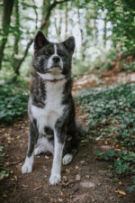 Robin Selhorst Shooting