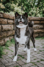 Robin Selhorst Shooting