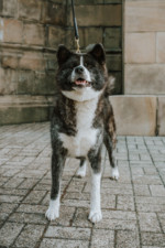 Robin Selhorst Shooting