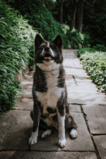 Robin Selhorst Shooting