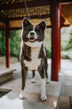 Robin Selhorst Shooting