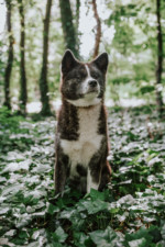 Robin Selhorst Shooting