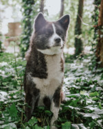 Robin Selhorst Shooting