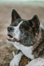 Robin Selhorst Shooting