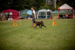 NRW-Cup in Hürth 2022