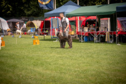 NRW-Cup in Hürth 2022