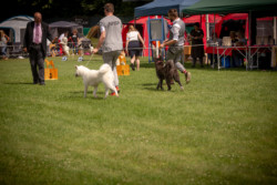 NRW-Cup in Hürth 2022