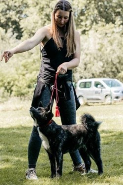 Yuyu beim Ausstellungstraining mit Frauchen