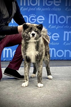 proud Jintarou Go ... 5 month old