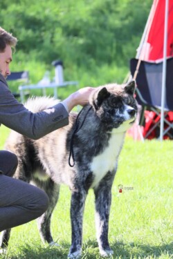 credits: Futatsu No Omamori