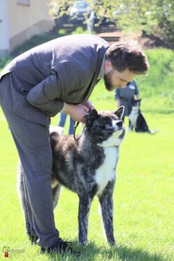 credits: Futatsu No Omamori