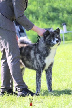 credits: Futatsu No Omamori