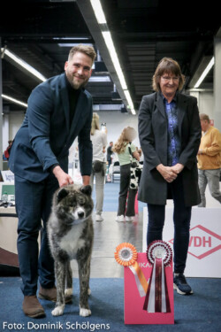 VDH Frühjahressieger Ausstellung 14.05.2023 | V1 Jugendklasse, bester Junghund
