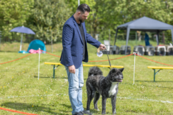Pascal Stolp mit Bimakkuro Go Chiisana Kabu in der Einzelbewertung
