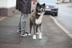 Hiro und David (mit Schuh)