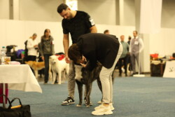 Kuro mit Pascal beim Kontrollieren der Zähne