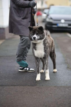 Hiro mit David (ohne schuh)